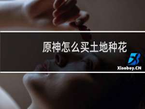 原神怎么买土地种花