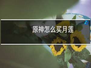 原神怎么买月莲