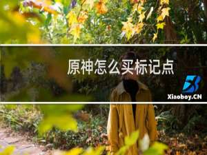 原神怎么买标记点
