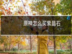原神怎么买紫晶石