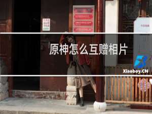 原神怎么互赠相片