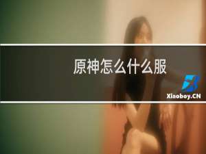 原神怎么什么服