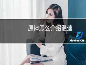 原神怎么介绍温迪