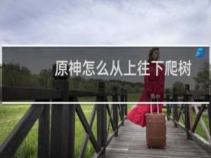 原神怎么从上往下爬树