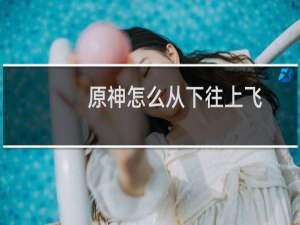 原神怎么从下往上飞