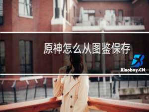原神怎么从图鉴保存