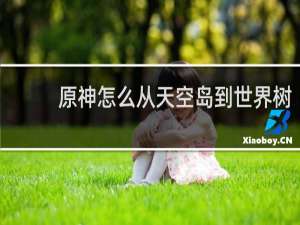 原神怎么从天空岛到世界树