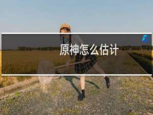 原神怎么估计