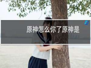 原神怎么你了原神是