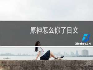 原神怎么你了日文