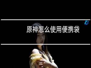 原神怎么使用便携袋