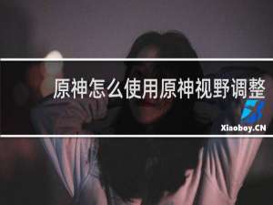 原神怎么使用原神视野调整