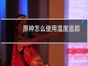原神怎么使用温度追踪