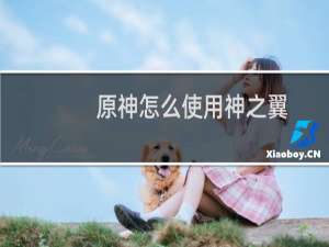 原神怎么使用神之翼