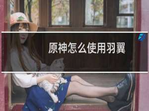 原神怎么使用羽翼