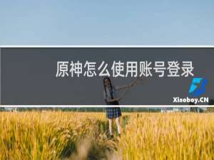 原神怎么使用账号登录