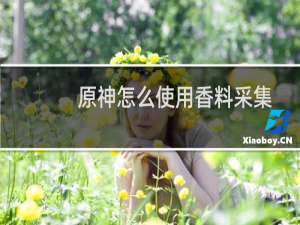 原神怎么使用香料采集