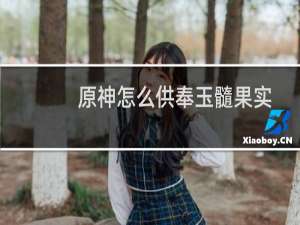原神怎么供奉玉髓果实