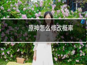 原神怎么修改概率