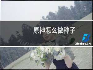 原神怎么做种子