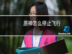 原神怎么停止飞行