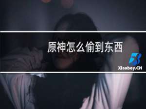 原神怎么偷到东西