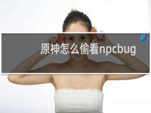 原神怎么偷看npcbug