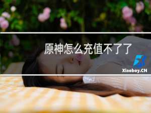 原神怎么充值不了了