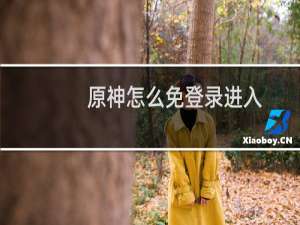 原神怎么免登录进入