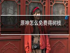 原神怎么免费得树枝