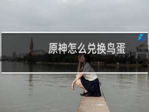 原神怎么兑换鸟蛋