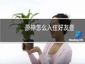 原神怎么入住好友壶