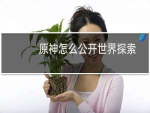 原神怎么公开世界探索