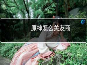 原神怎么关友商