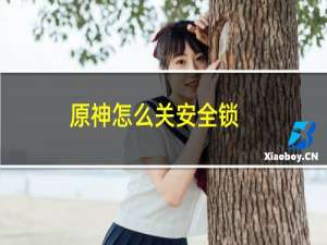 原神怎么关安全锁