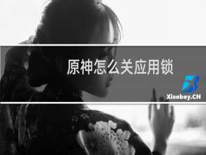 原神怎么关应用锁