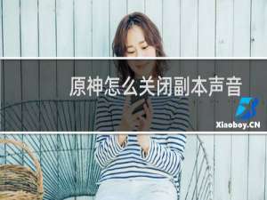 原神怎么关闭副本声音