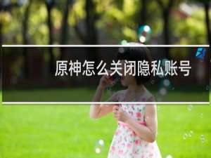 原神怎么关闭隐私账号