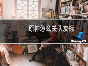 原神怎么关队友标