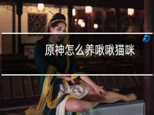 原神怎么养啾啾猫咪
