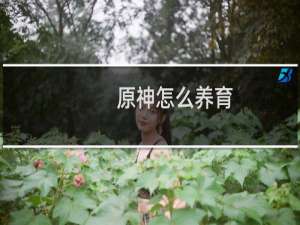 原神怎么养育