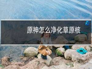 原神怎么净化草原核