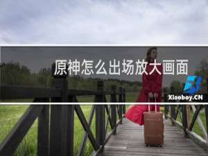 原神怎么出场放大画面