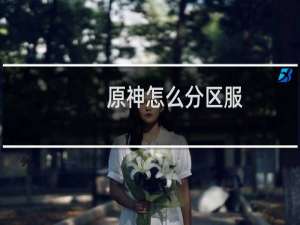 原神怎么分区服