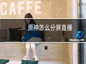 原神怎么分屏直播