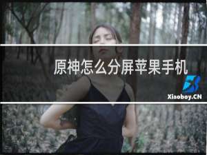 原神怎么分屏苹果手机