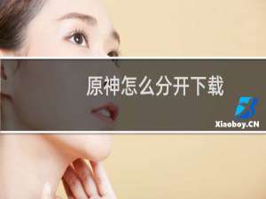 原神怎么分开下载