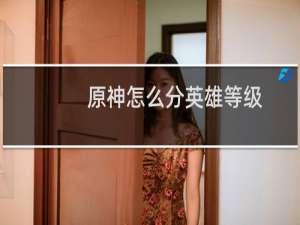 原神怎么分英雄等级