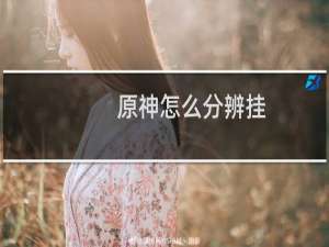 原神怎么分辨挂