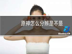 原神怎么分辨是不是